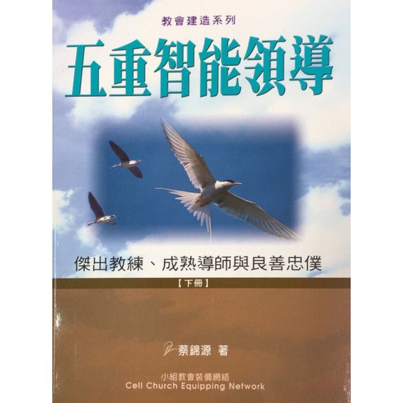 五重智能領導(下冊)