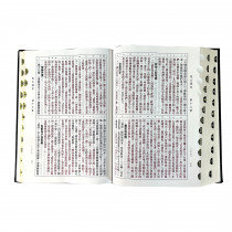 (黑金)大字精裝索引_8系列聖經和合本