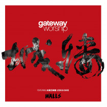 城牆 WALLS(CD)